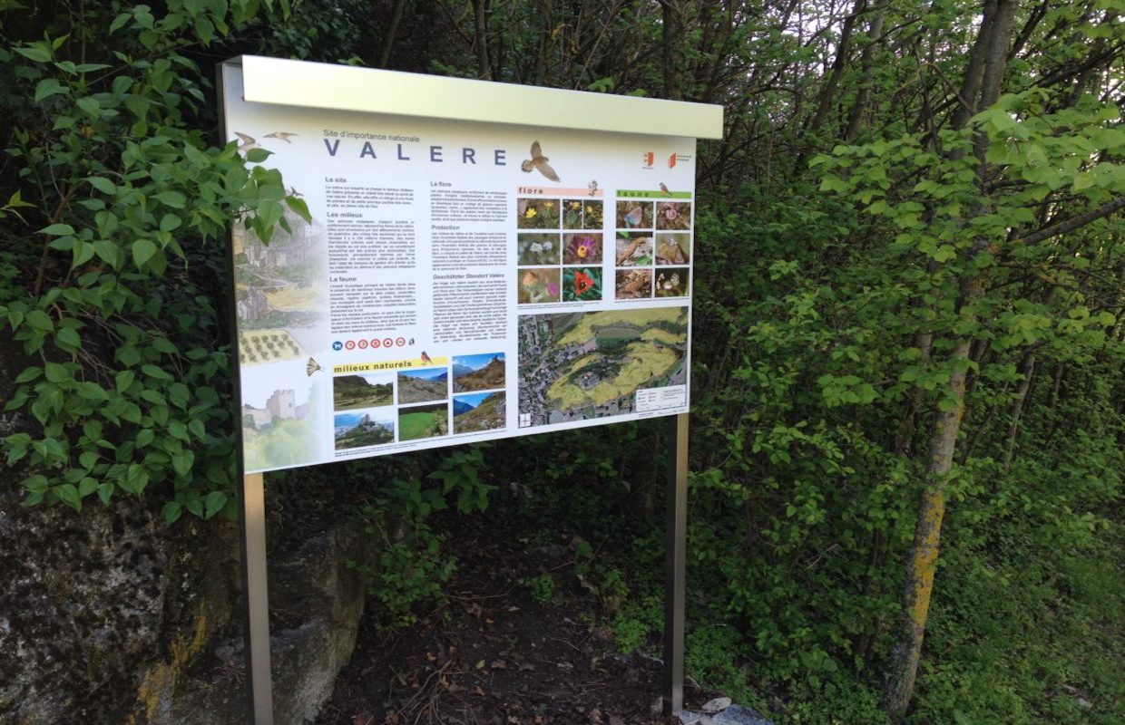 Pathway-Didactic-Valley-sion
