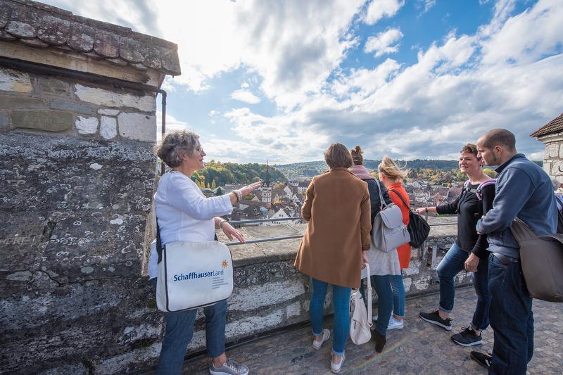 Swiss guided tour